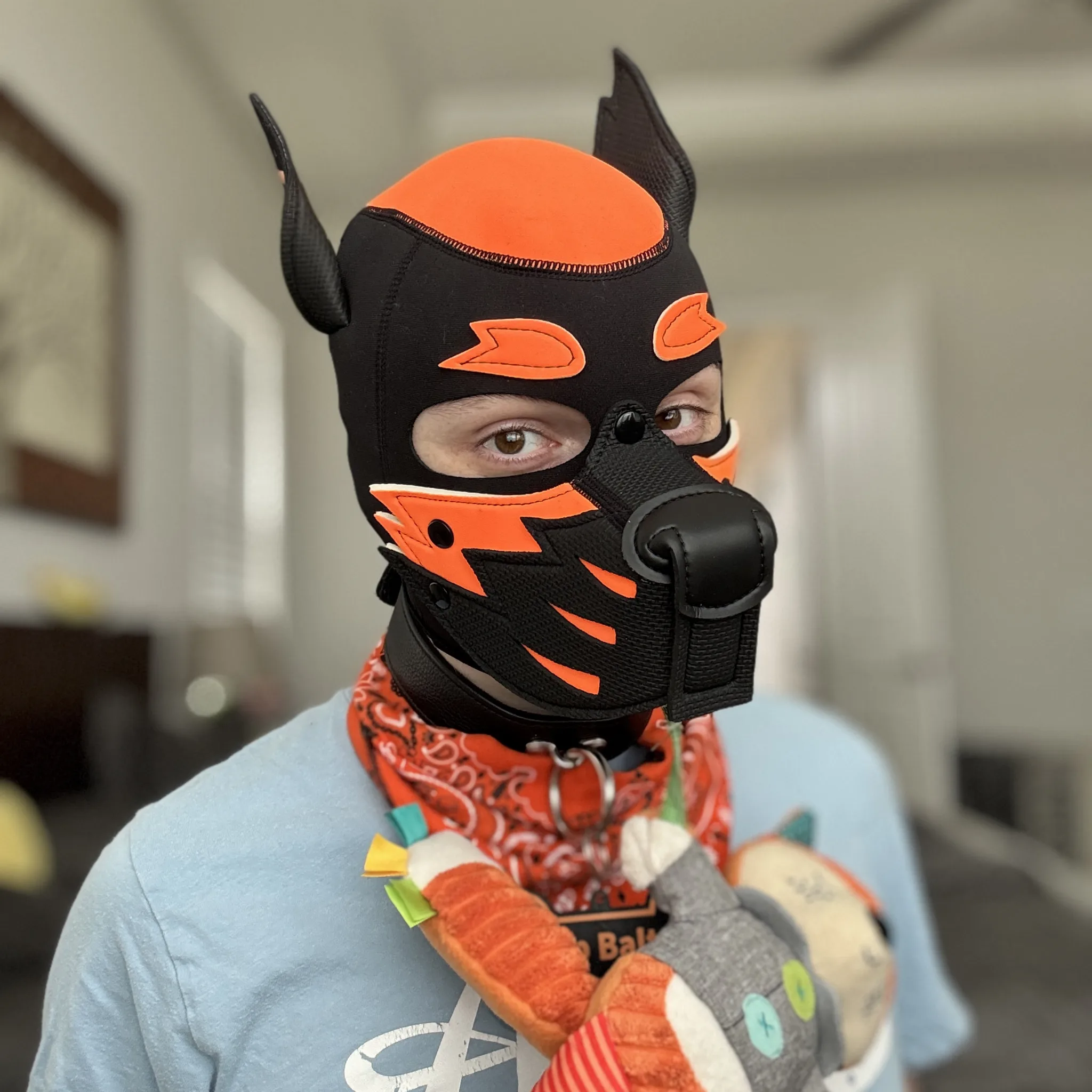 Pup Balto